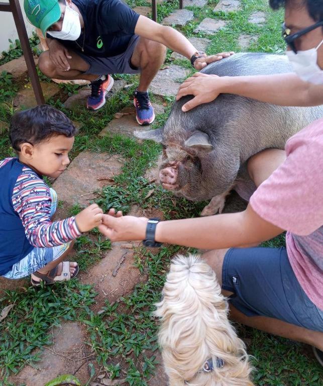 Aldeia Parque Pousada Rural São Roque Exteriör bild