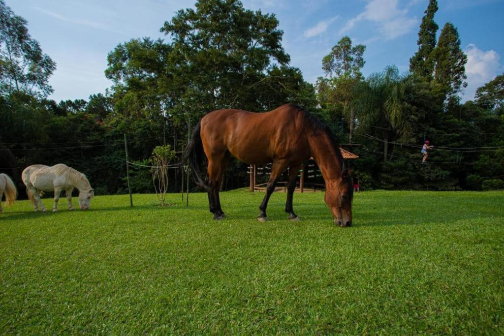Aldeia Parque Pousada Rural São Roque Exteriör bild