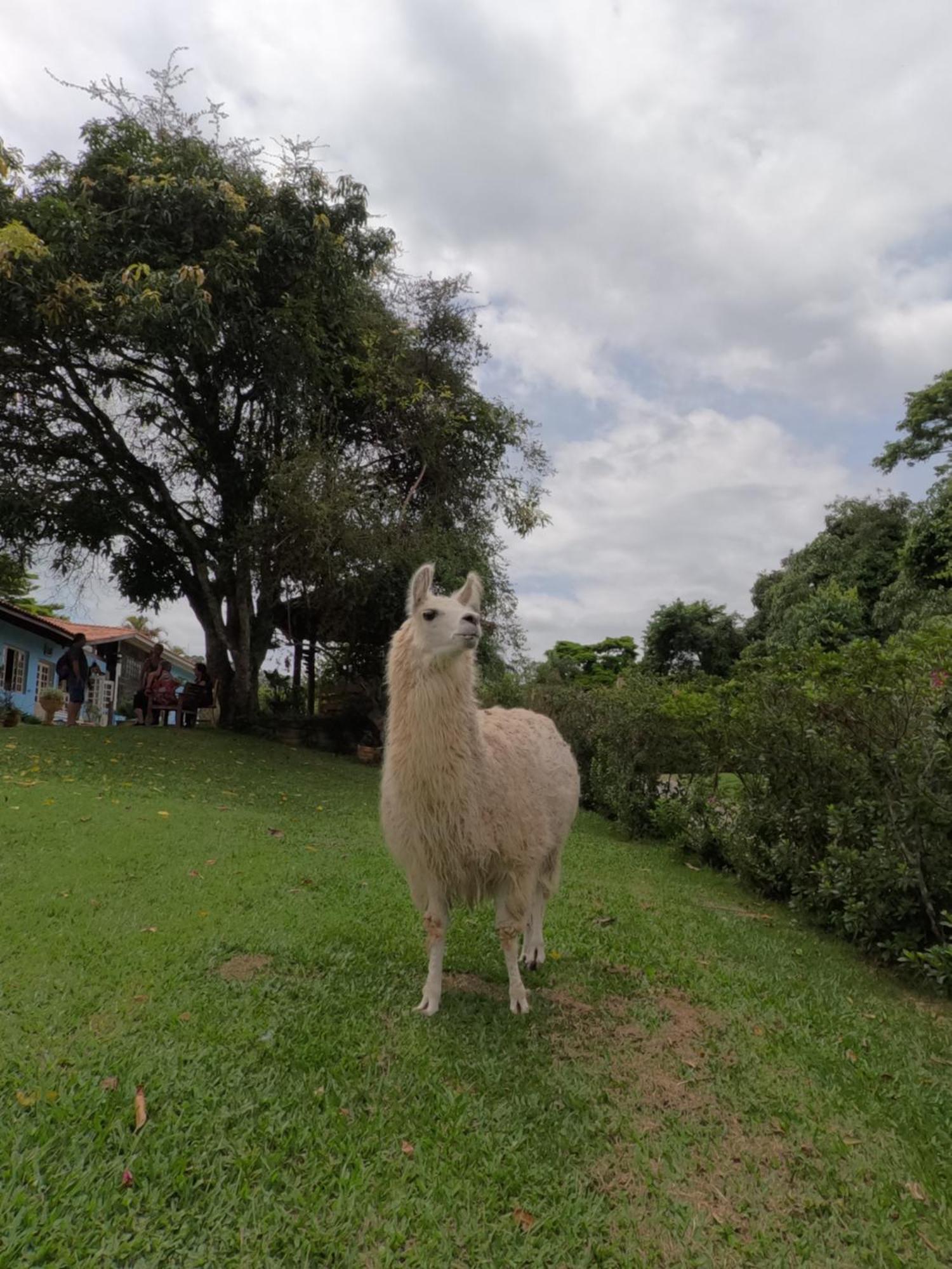 Aldeia Parque Pousada Rural São Roque Exteriör bild
