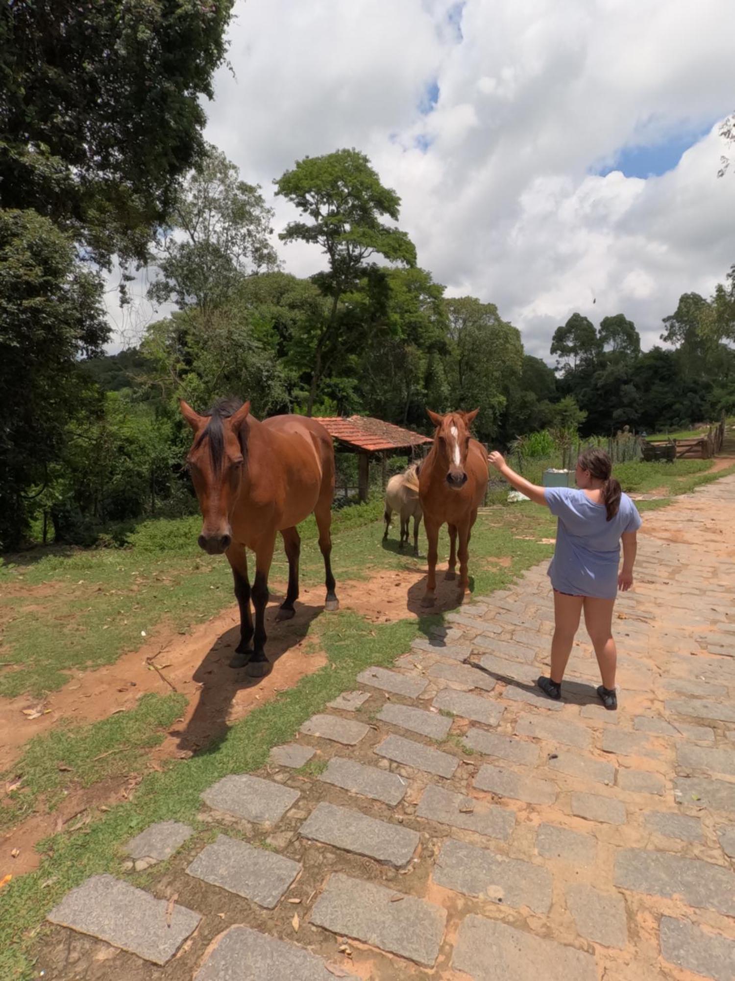 Aldeia Parque Pousada Rural São Roque Exteriör bild